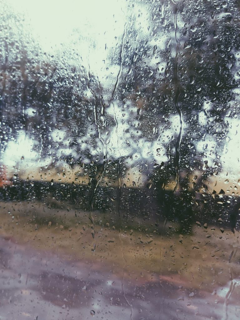 rain
